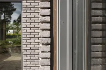 SWS
